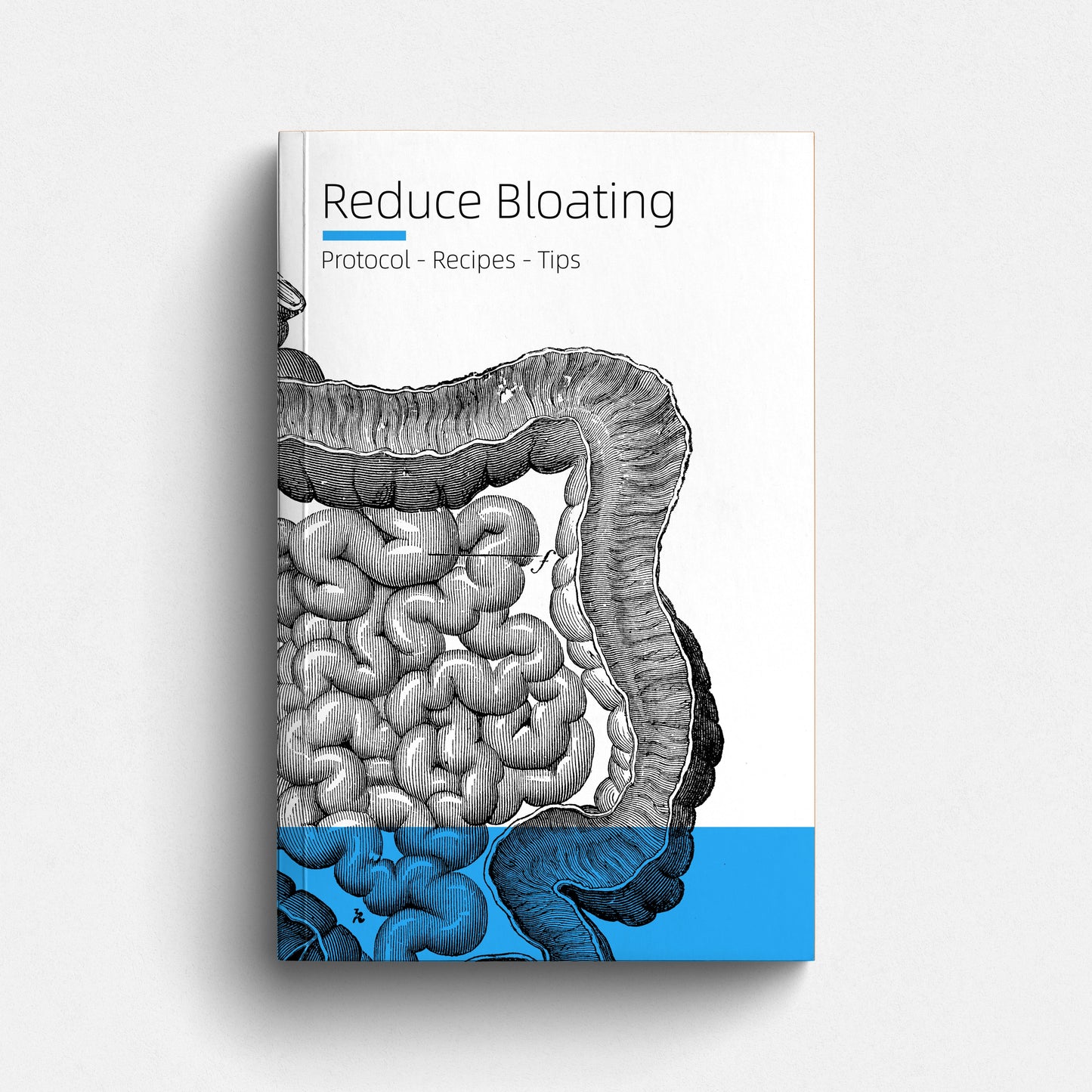 Reduce Bloating